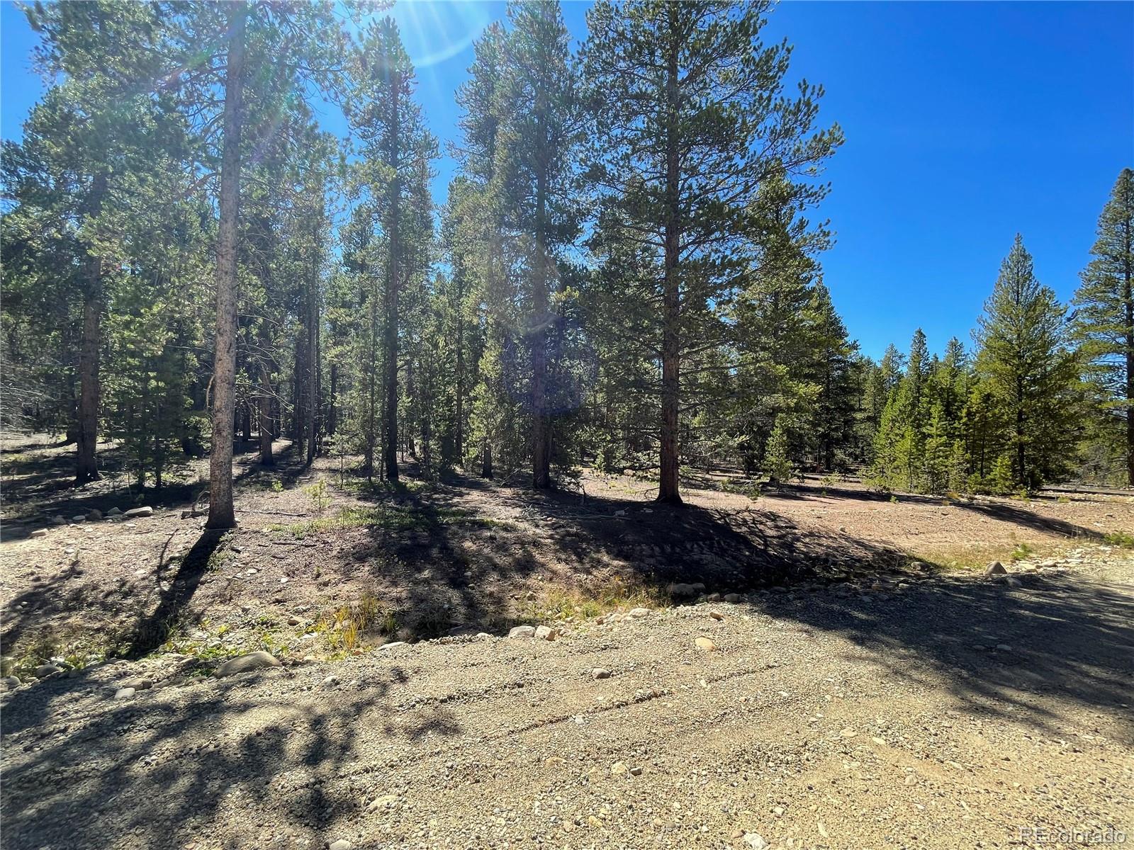 251 Virginia Avenue Leadville CO 80461