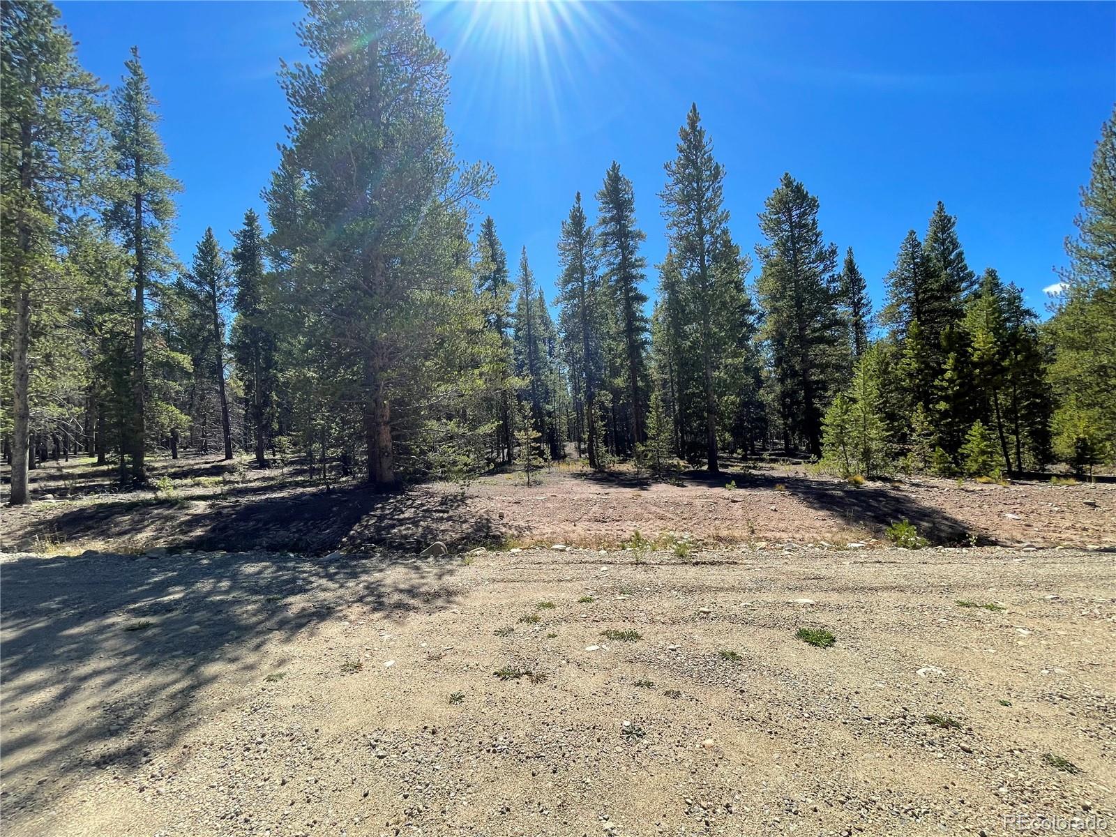251 Virginia Avenue Leadville CO 80461