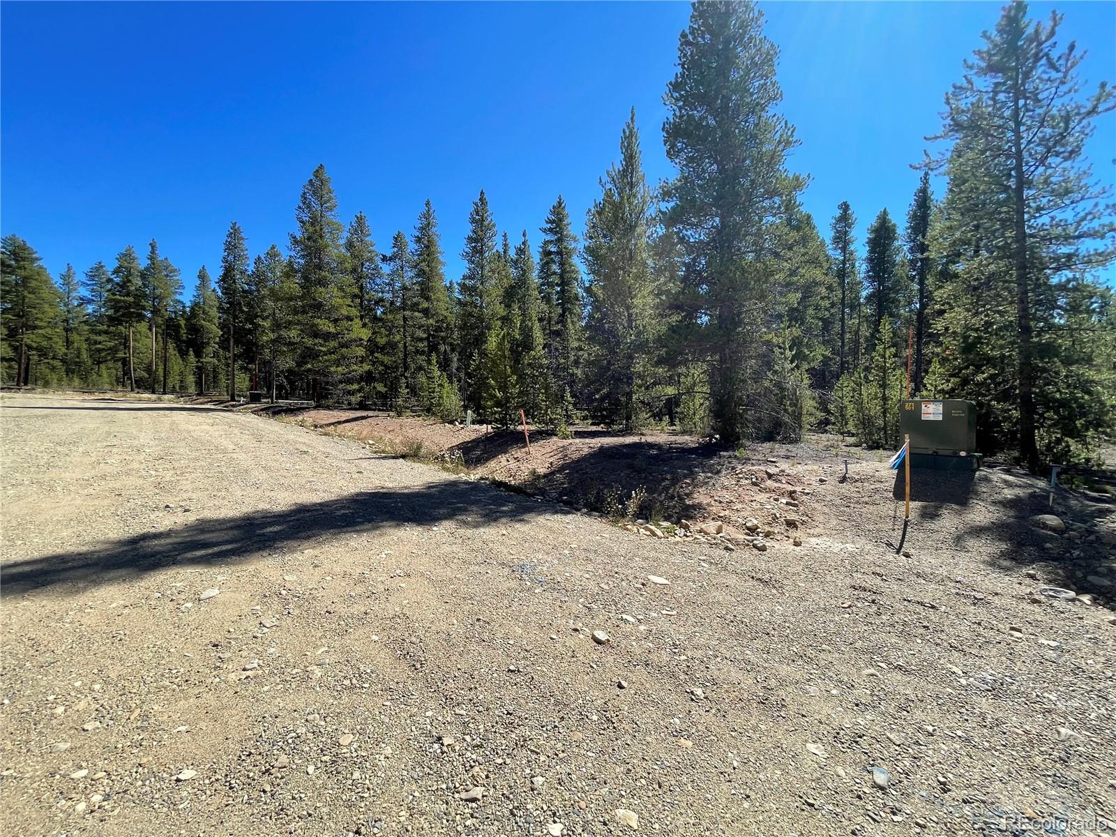 251 Virginia Avenue Leadville CO 80461