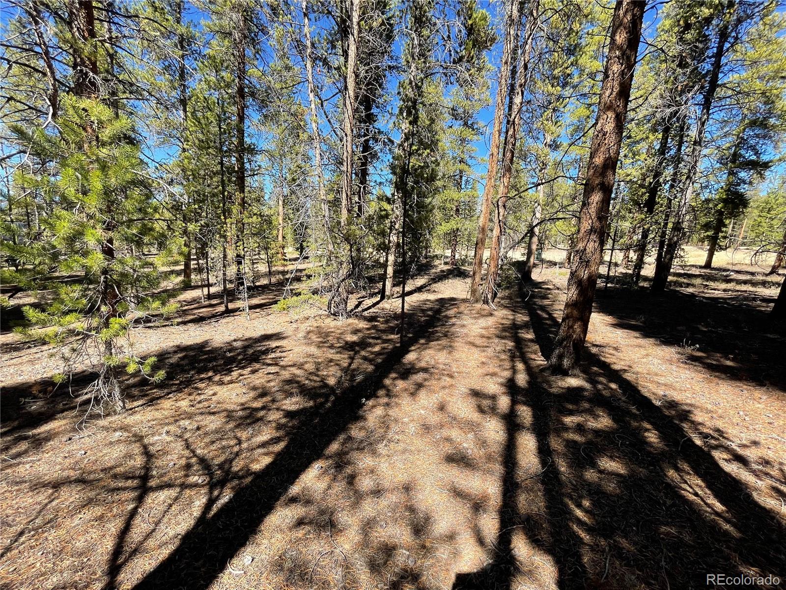 251 Virginia Avenue Leadville CO 80461