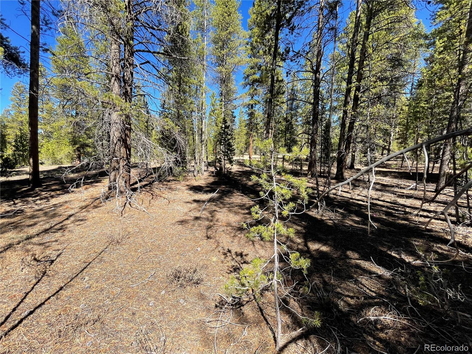 251 Virginia Avenue Leadville CO 80461