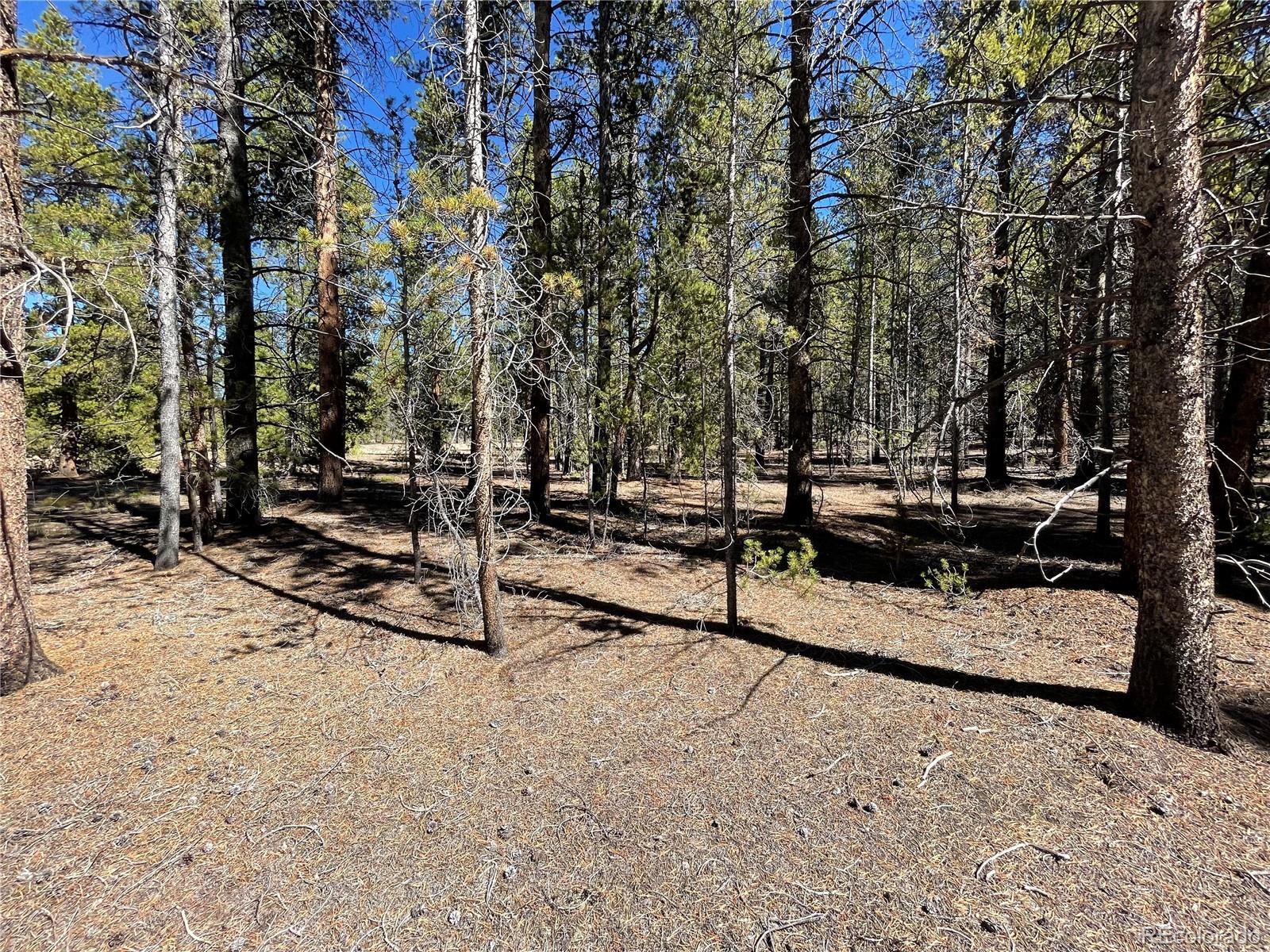 251 Virginia Avenue Leadville CO 80461
