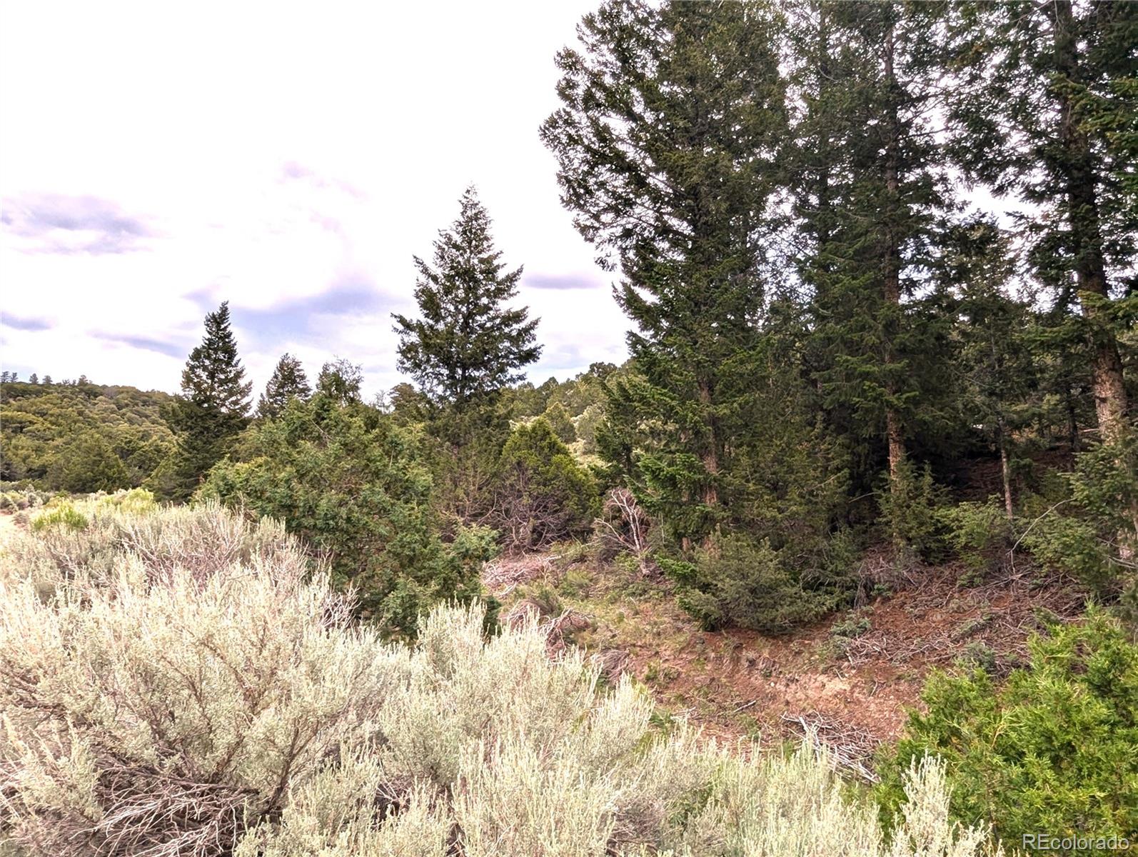 1593 Jaidi Road Fort Garland CO 81133