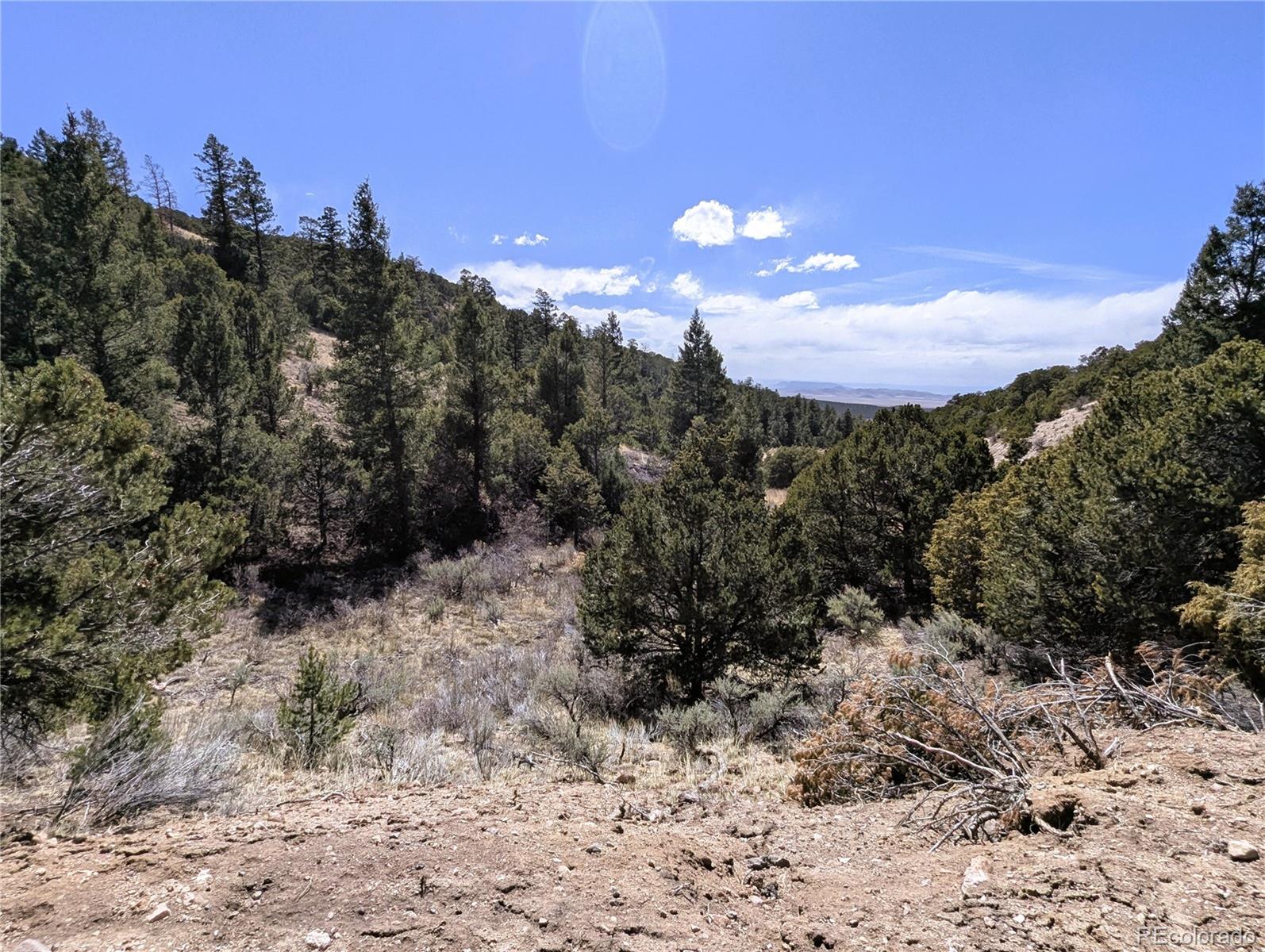 1593 Jaidi Road Fort Garland CO 81133