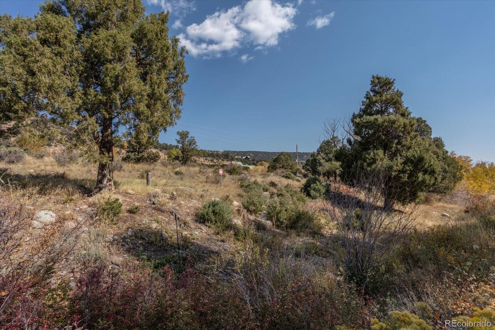 17380 Willow Tree Drive Salida CO 81201