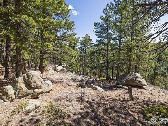 213 Rocky Knob Lane Nederland CO 80466