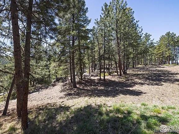 213 Rocky Knob Lane Nederland CO 80466