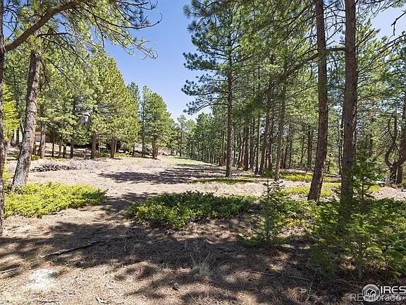 213 Rocky Knob Lane Nederland CO 80466