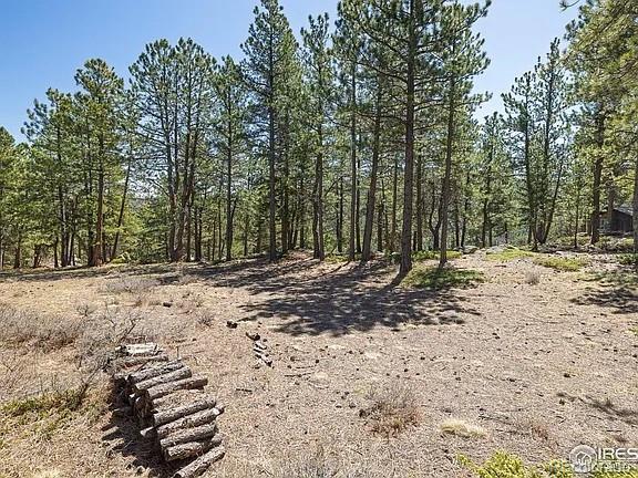 213 Rocky Knob Lane Nederland CO 80466