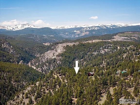 213 Rocky Knob Lane Nederland CO 80466