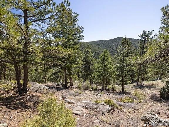 213 Rocky Knob Lane Nederland CO 80466