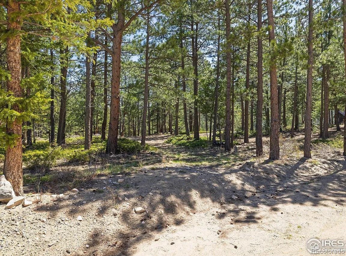 213 Rocky Knob Lane Nederland CO 80466
