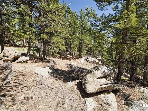 213 Rocky Knob Lane Nederland CO 80466