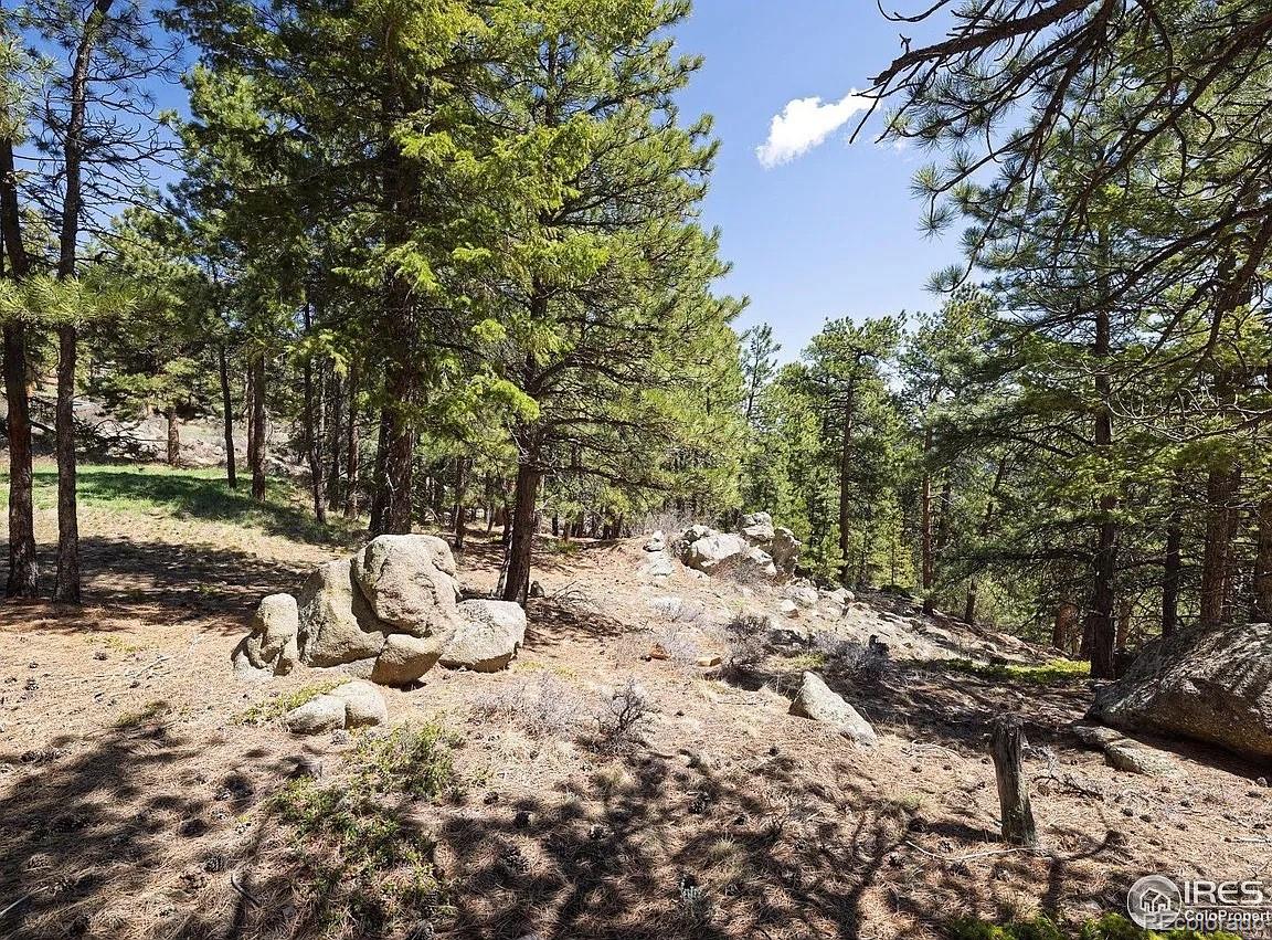 213 Rocky Knob Lane Nederland CO 80466