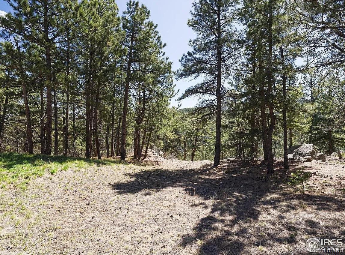 213 Rocky Knob Lane Nederland CO 80466
