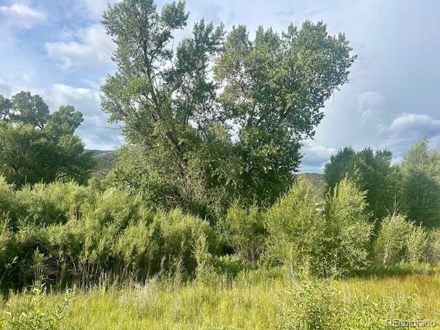 1105 Little River Lane Poncha Springs CO 81242