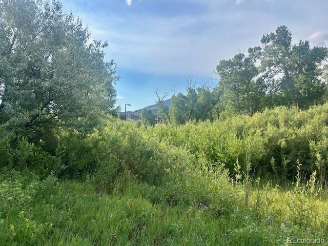 1105 Little River Lane Poncha Springs CO 81242