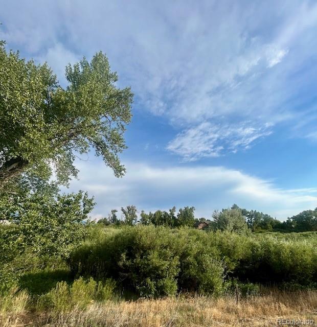 1105 Little River Lane Poncha Springs CO 81242