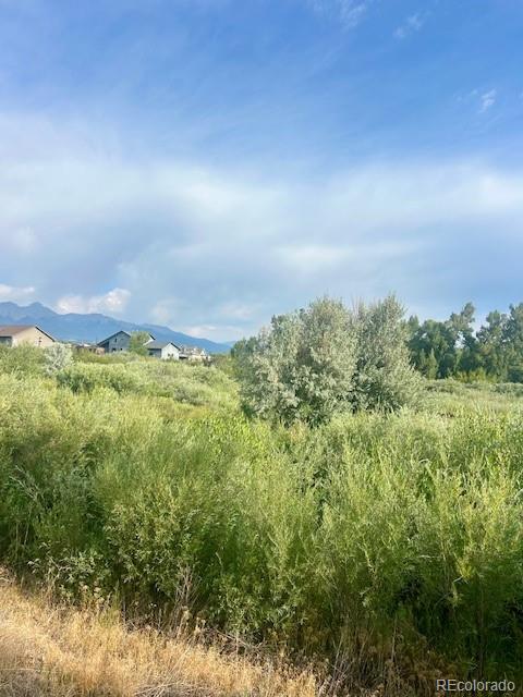 1105 Little River Lane Poncha Springs CO 81242