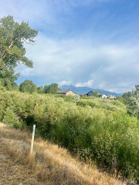 1105 Little River Lane Poncha Springs CO 81242