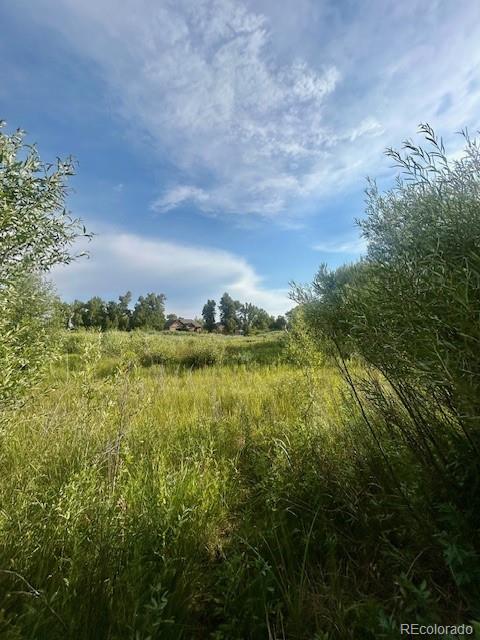 1105 Little River Lane Poncha Springs CO 81242