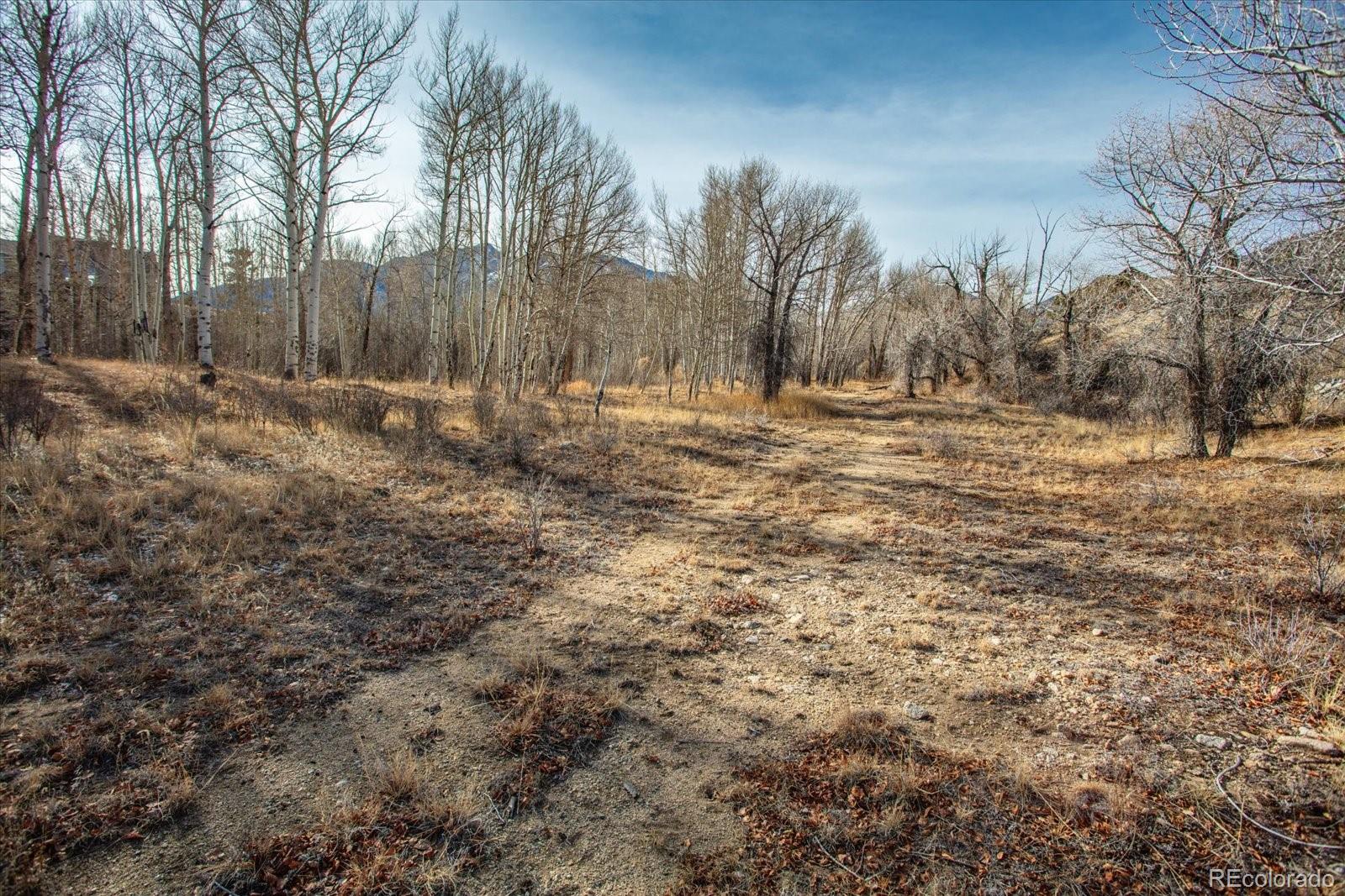 17573 Trout Circle Buena Vista CO 81211