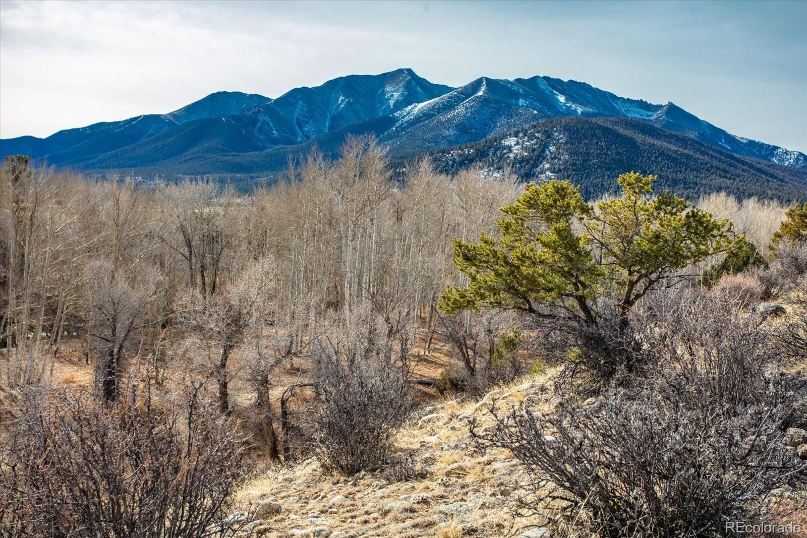 17573 Trout Circle Buena Vista CO 81211