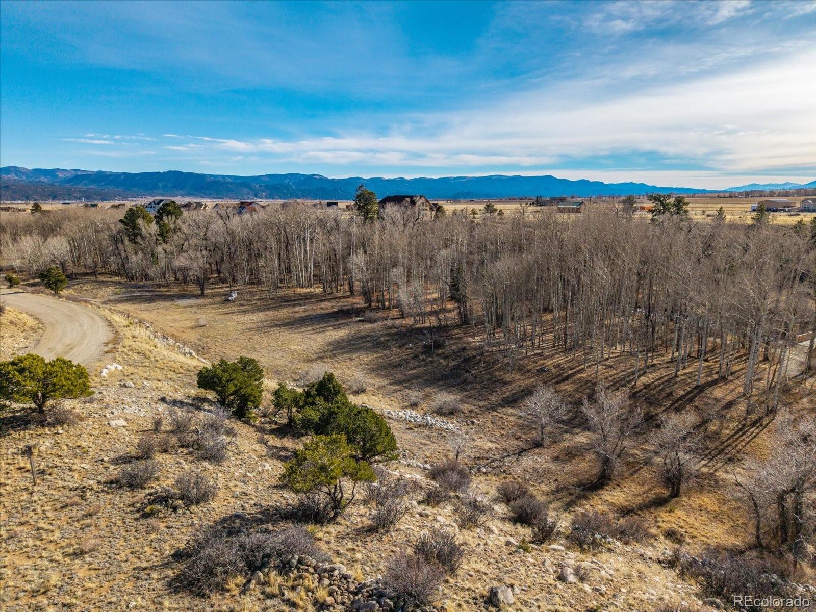 17573 Trout Circle Buena Vista CO 81211