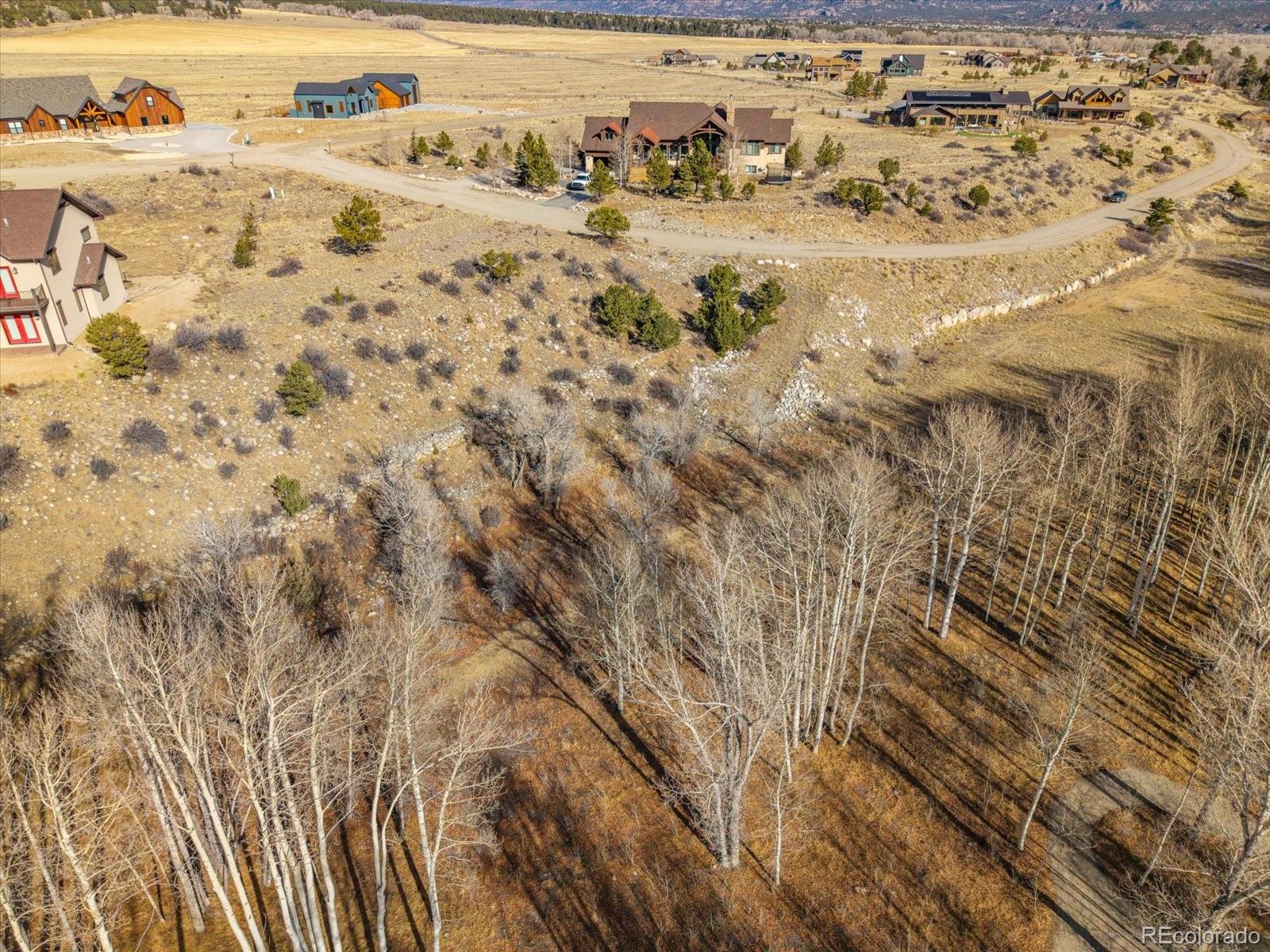 17573 Trout Circle Buena Vista CO 81211