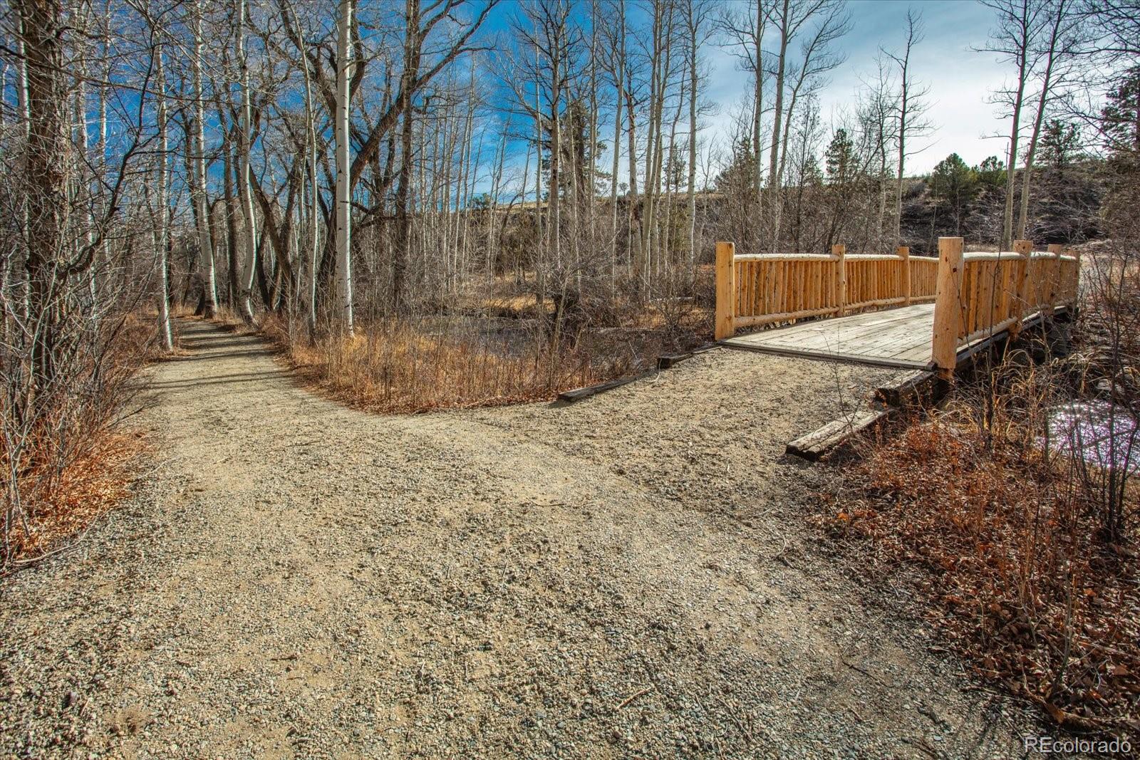 17573 Trout Circle Buena Vista CO 81211