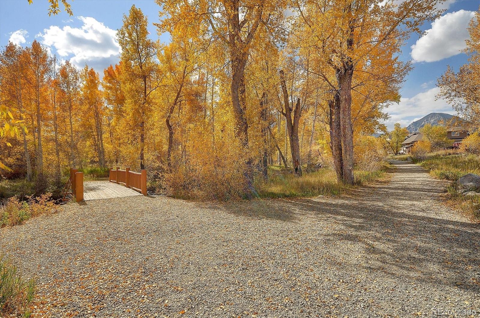 17573 Trout Circle Buena Vista CO 81211
