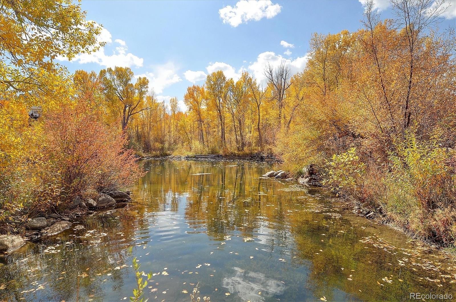 17573 Trout Circle Buena Vista CO 81211