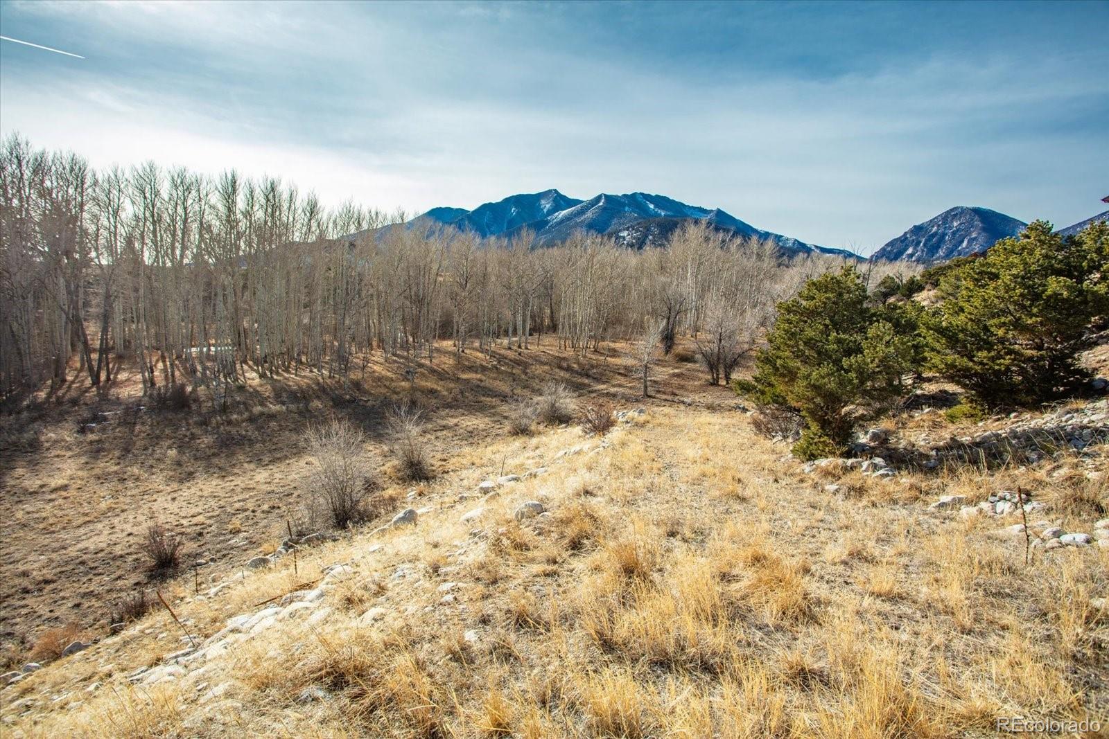 17573 Trout Circle Buena Vista CO 81211