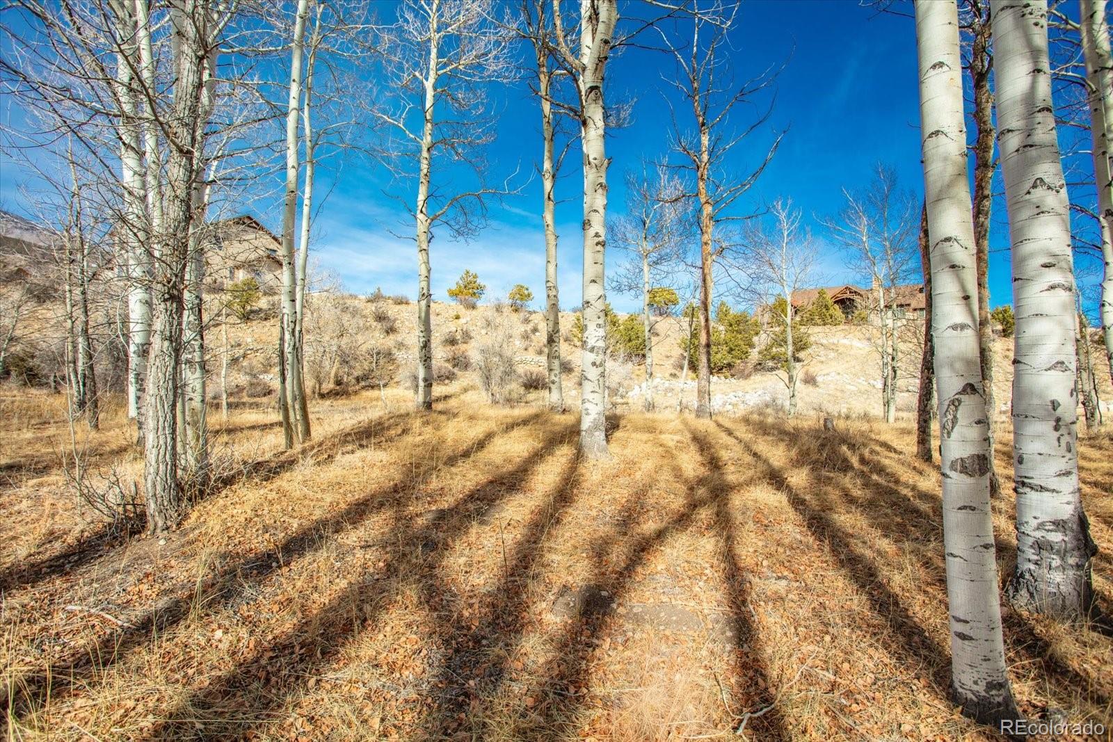 17573 Trout Circle Buena Vista CO 81211