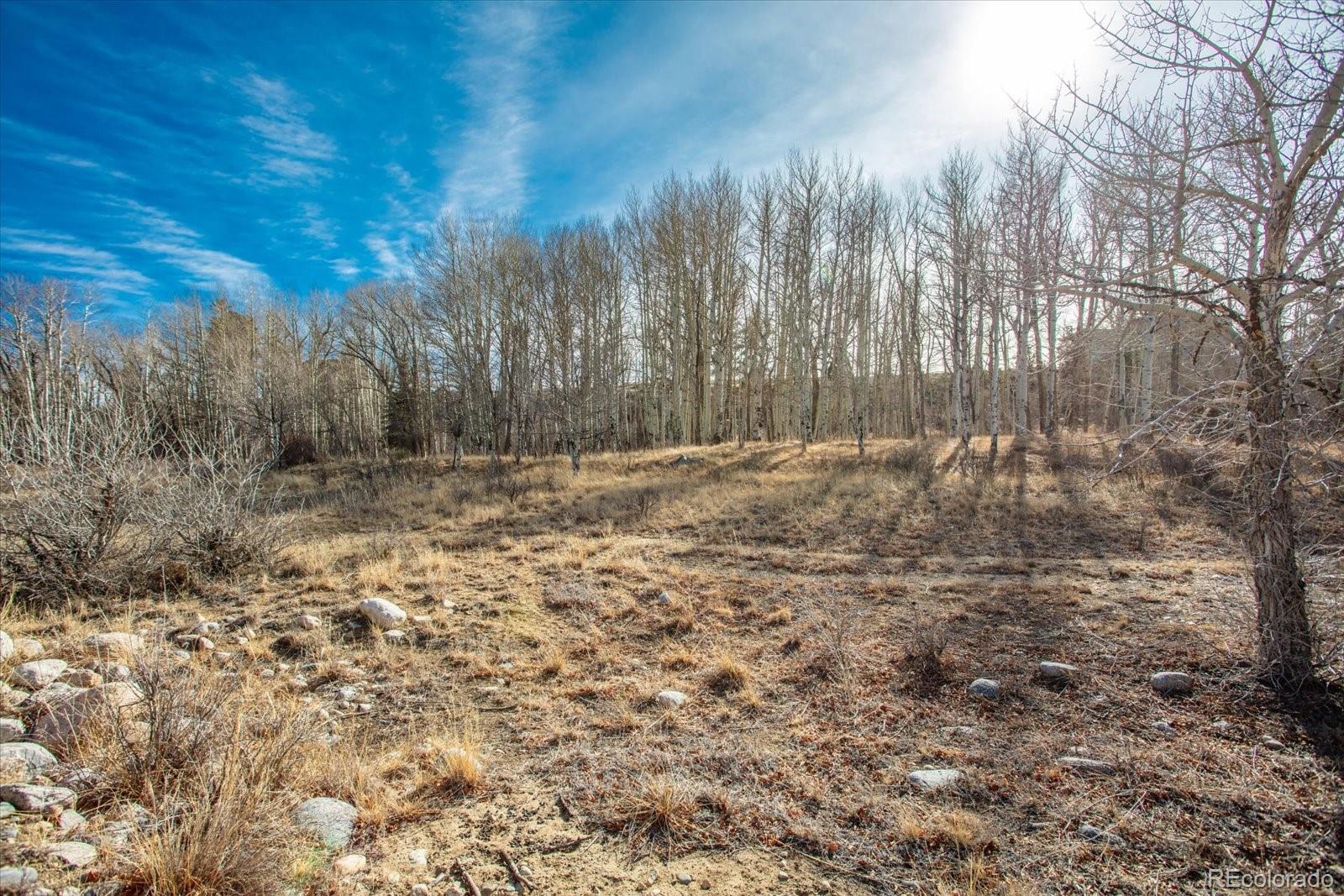 17573 Trout Circle Buena Vista CO 81211