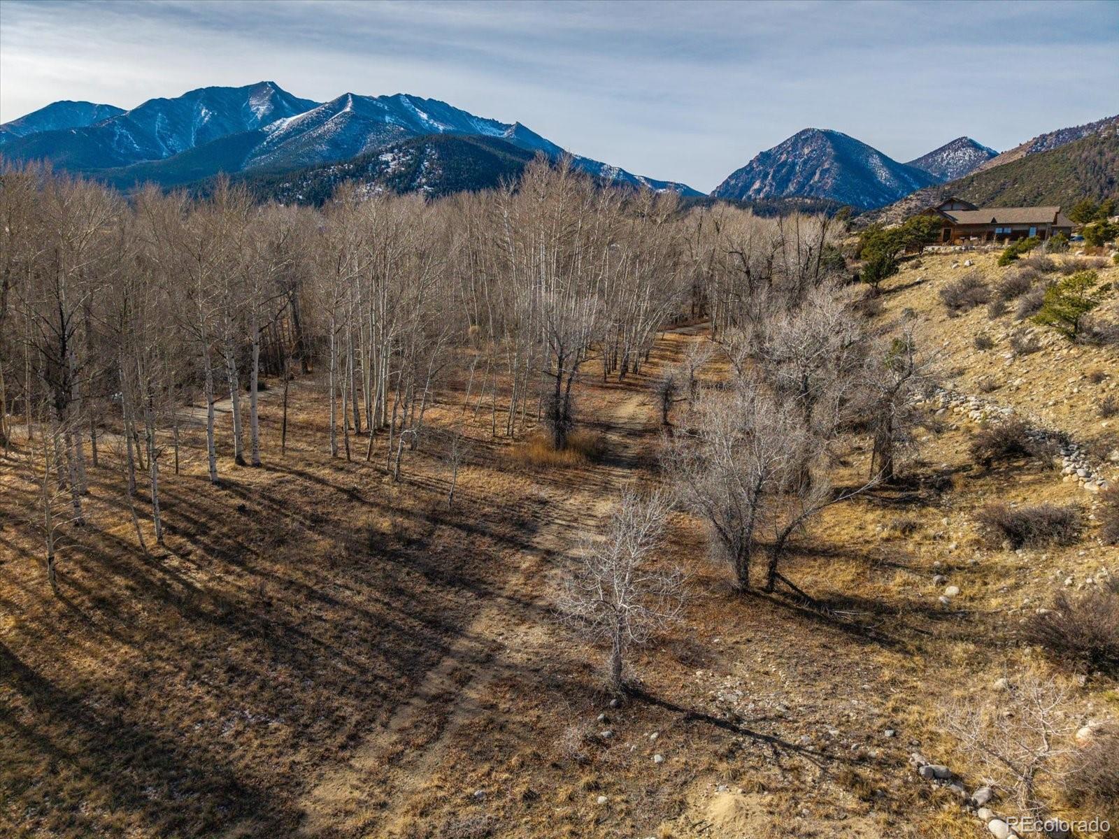 17573 Trout Circle Buena Vista CO 81211