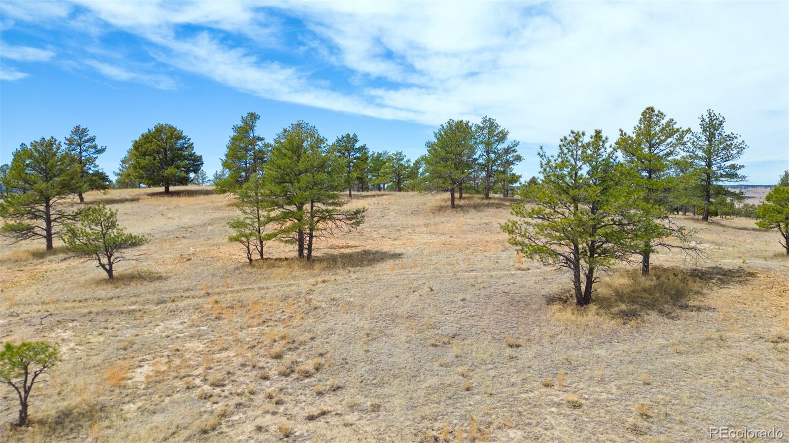 Parcel A County Road 77 Calhan CO 80808