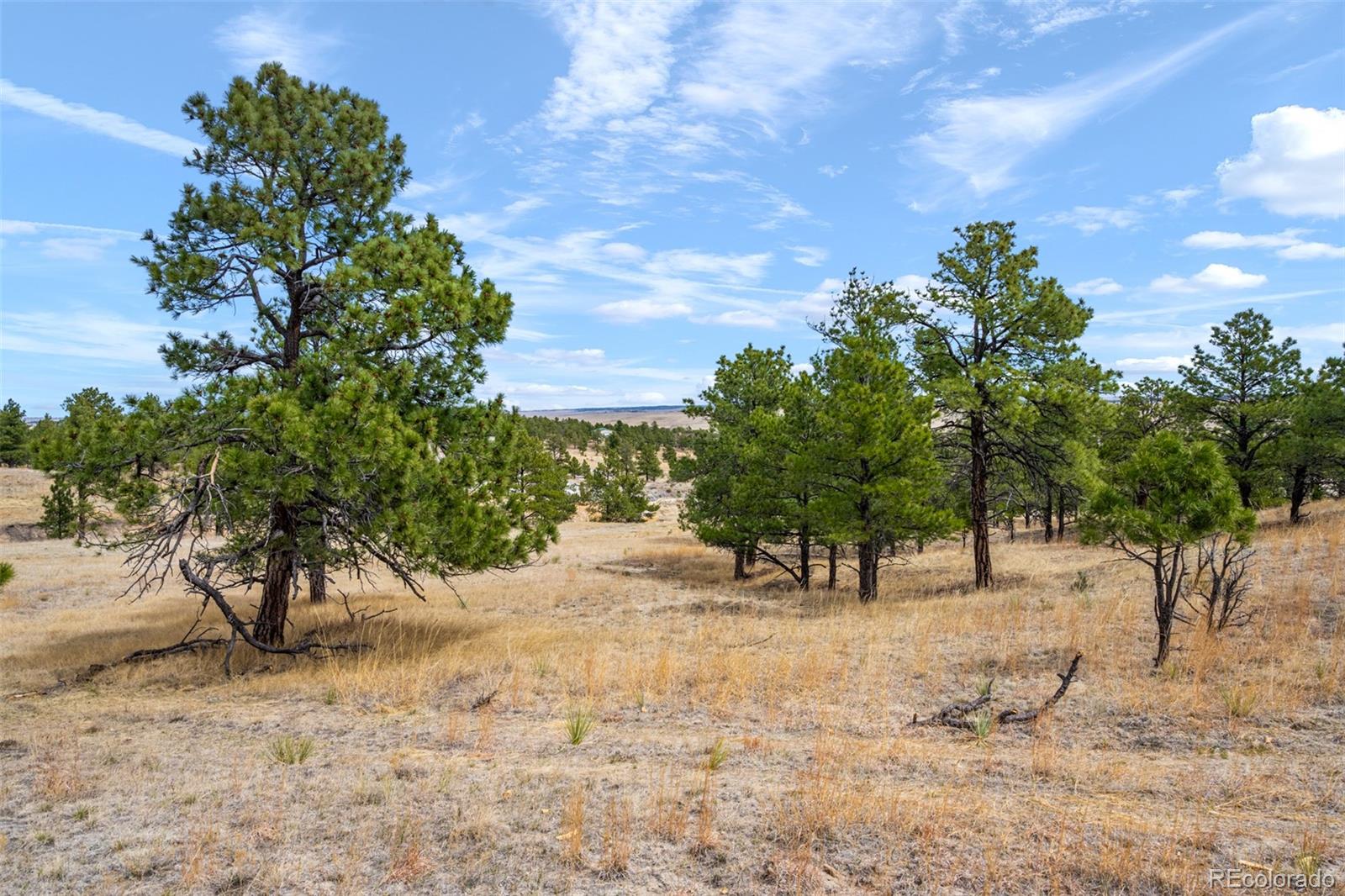 Parcel A County Road 77 Calhan CO 80808
