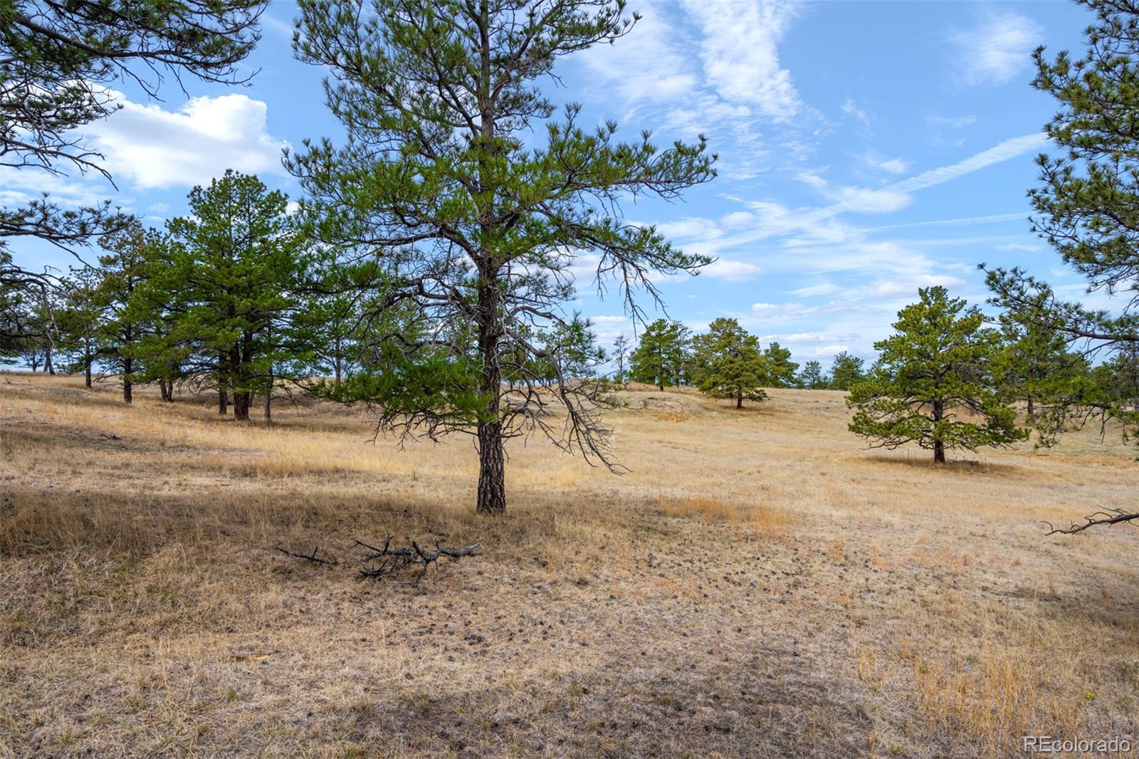 Parcel A County Road 77 Calhan CO 80808