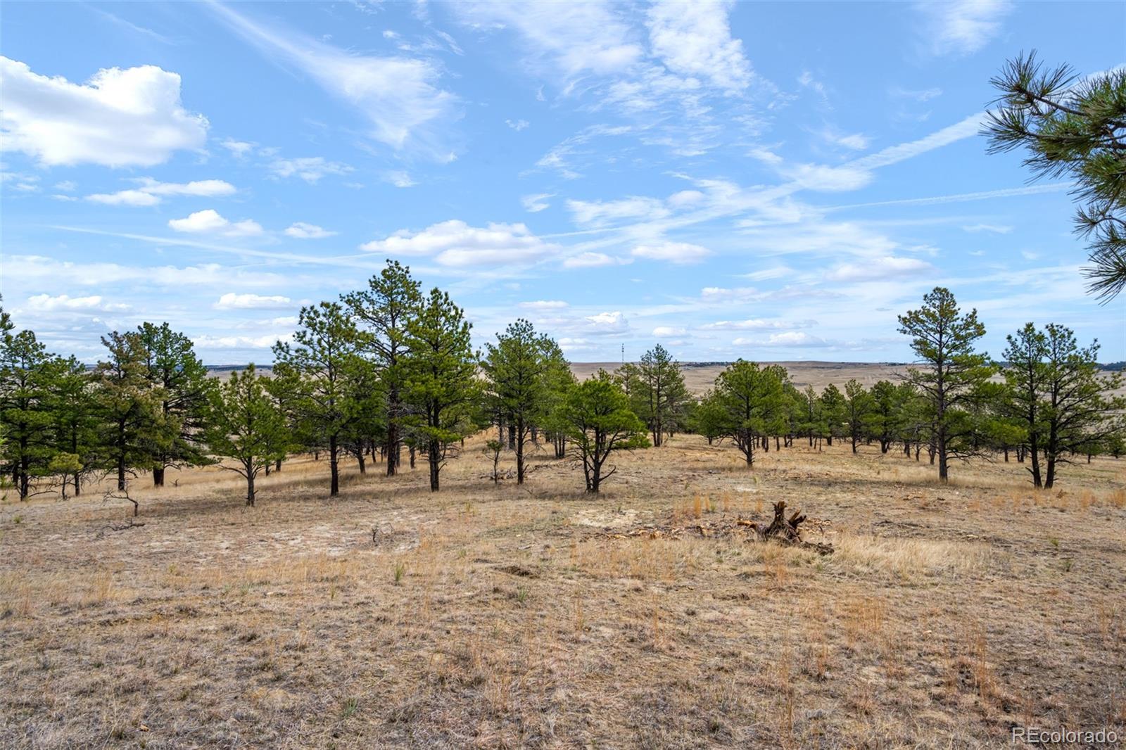 Parcel A County Road 77 Calhan CO 80808