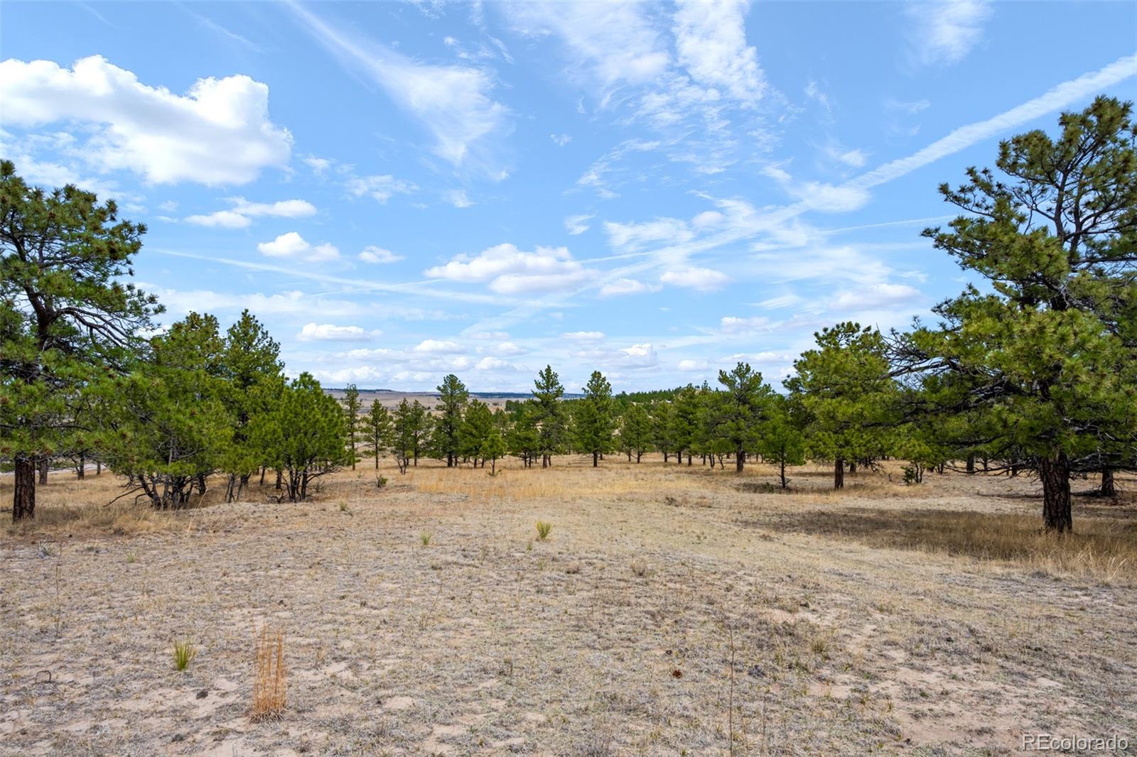 Parcel A County Road 77 Calhan CO 80808