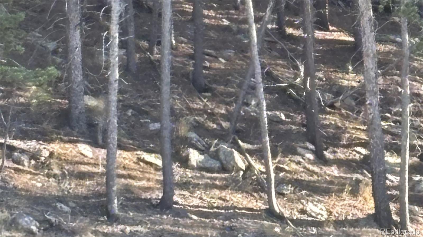 1 Miners Road Black Hawk CO 80422