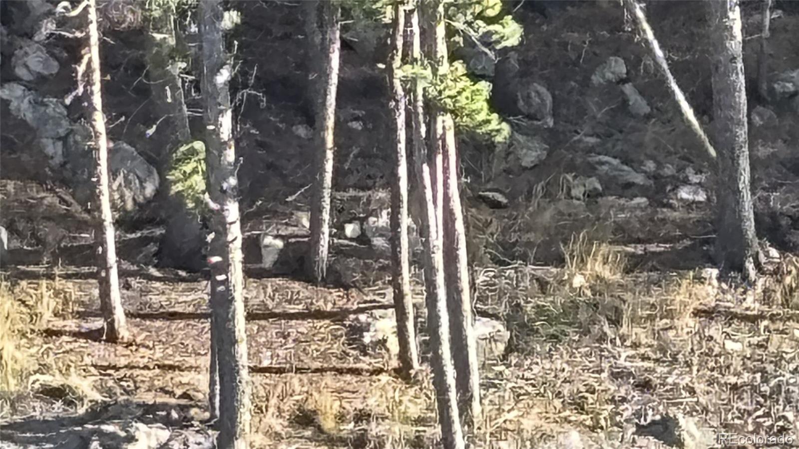 1 Miners Road Black Hawk CO 80422