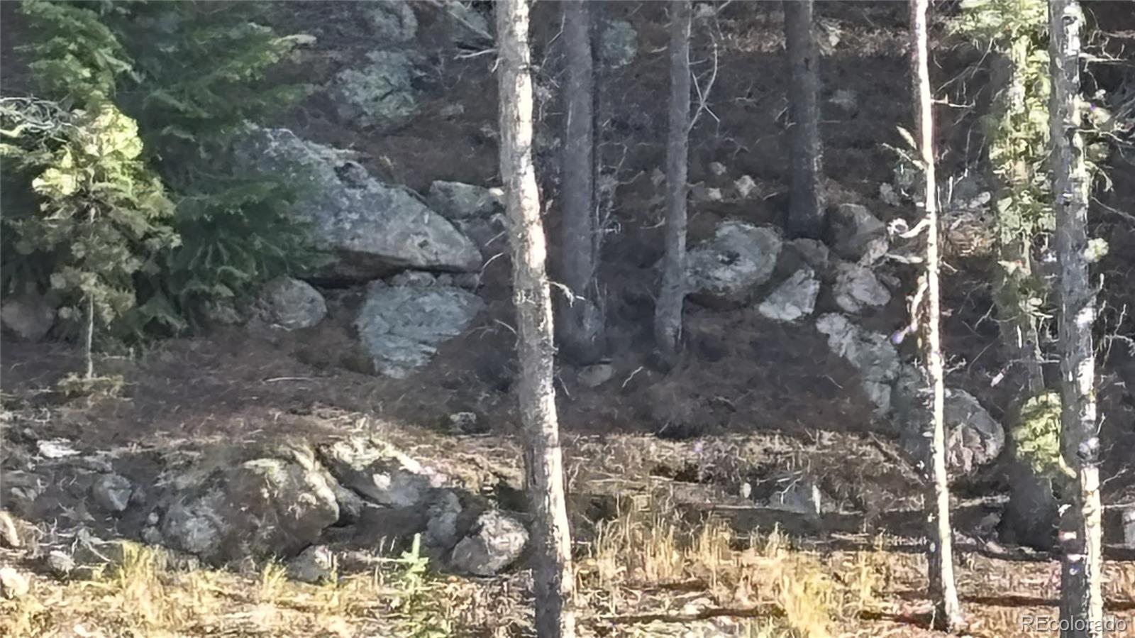 1 Miners Road Black Hawk CO 80422