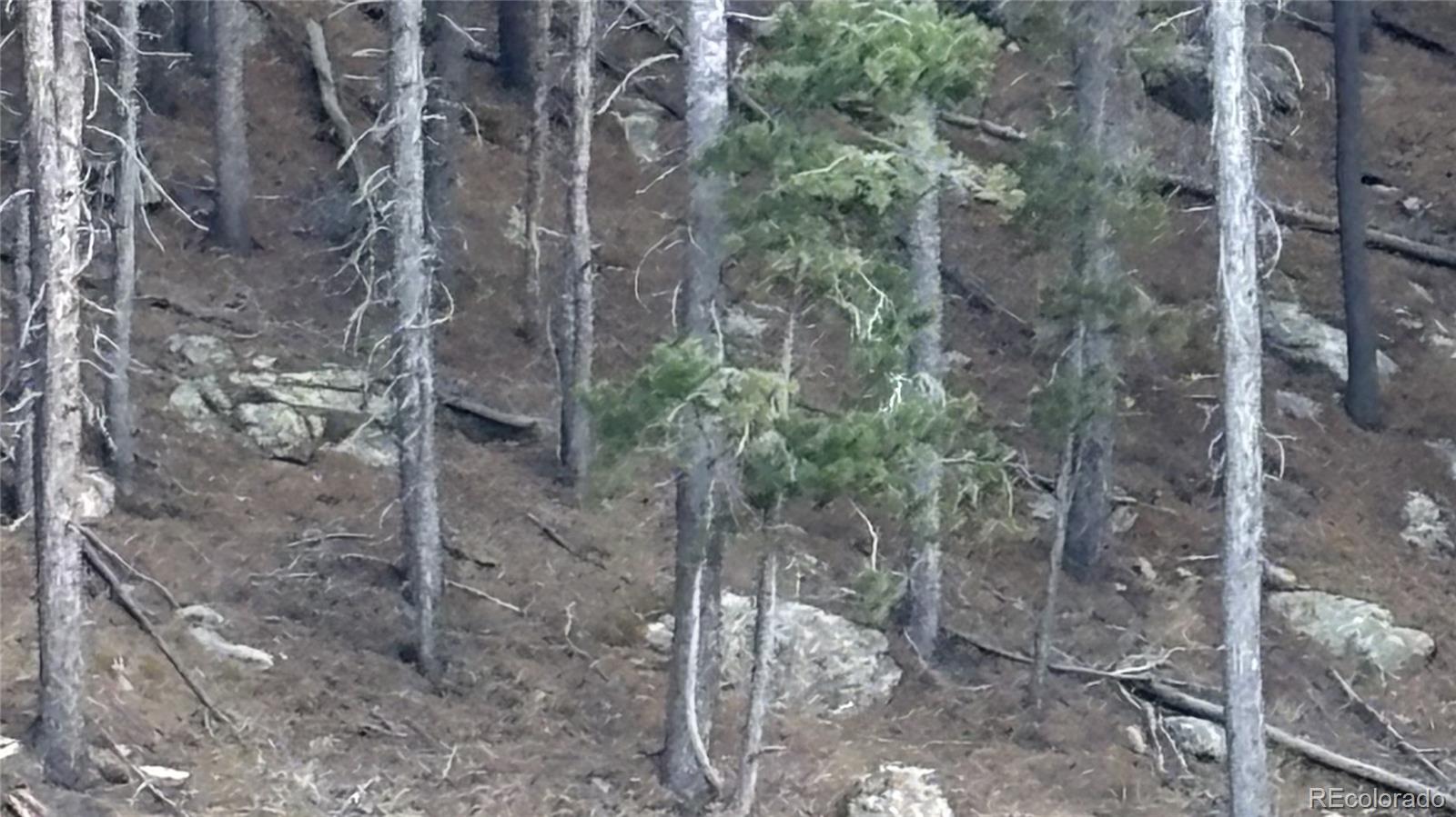 1 Miners Road Black Hawk CO 80422
