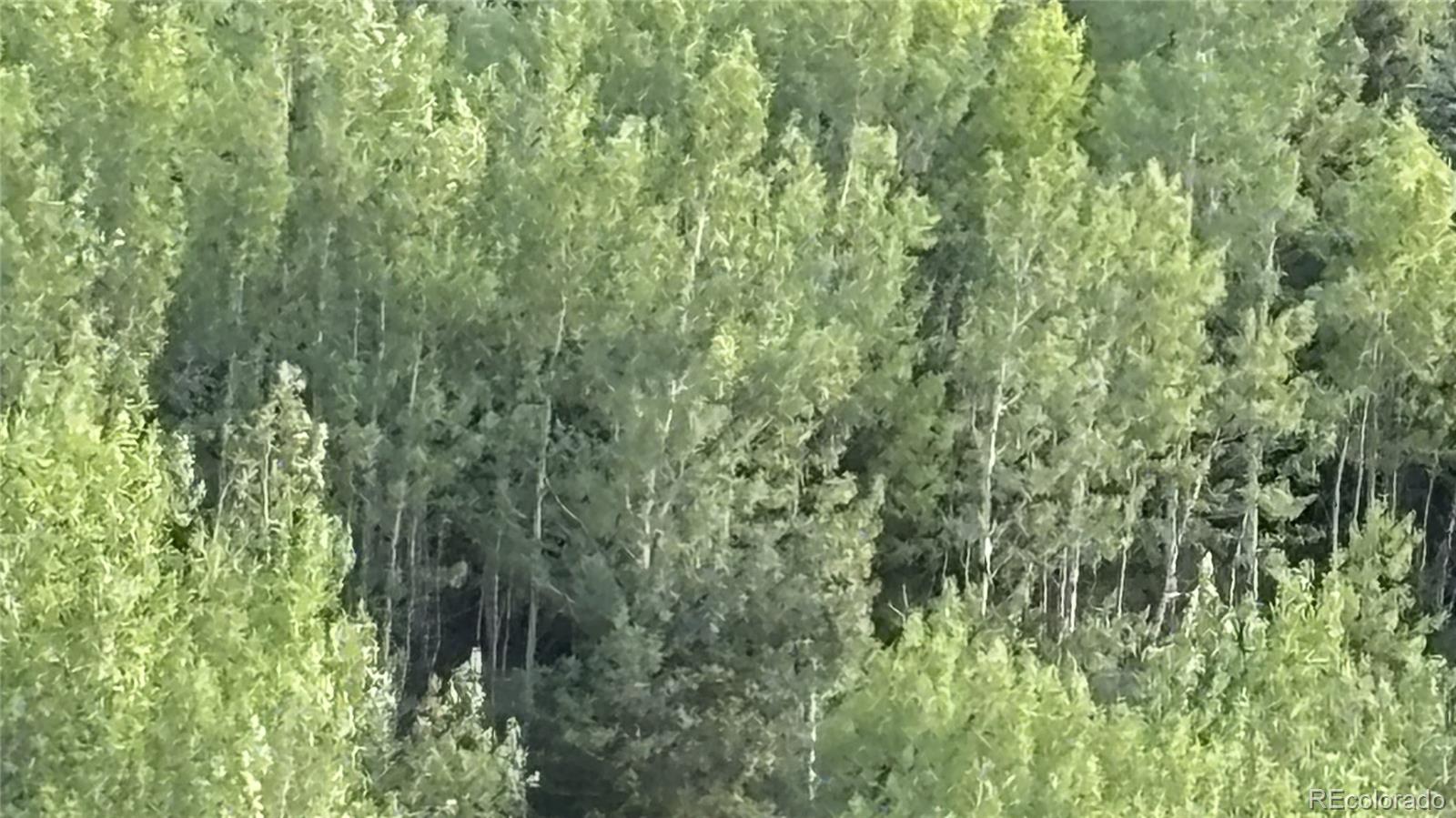 1 Miners Road Black Hawk CO 80422
