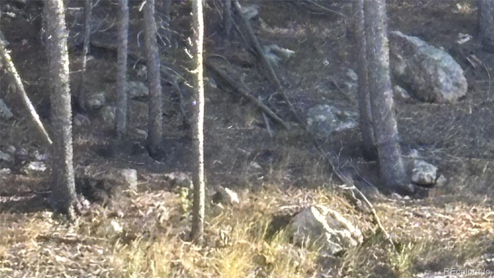 1 Miners Road Black Hawk CO 80422