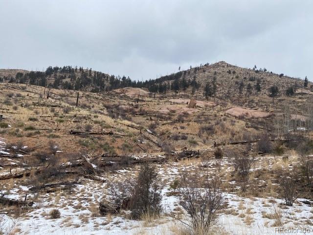 150557 Cochise Trail Pine CO 80470
