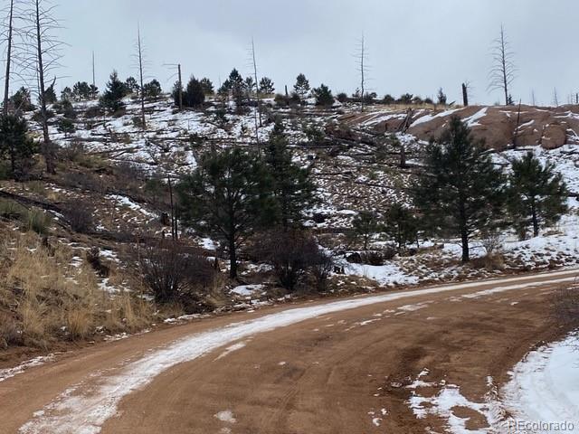 150557 Cochise Trail Pine CO 80470