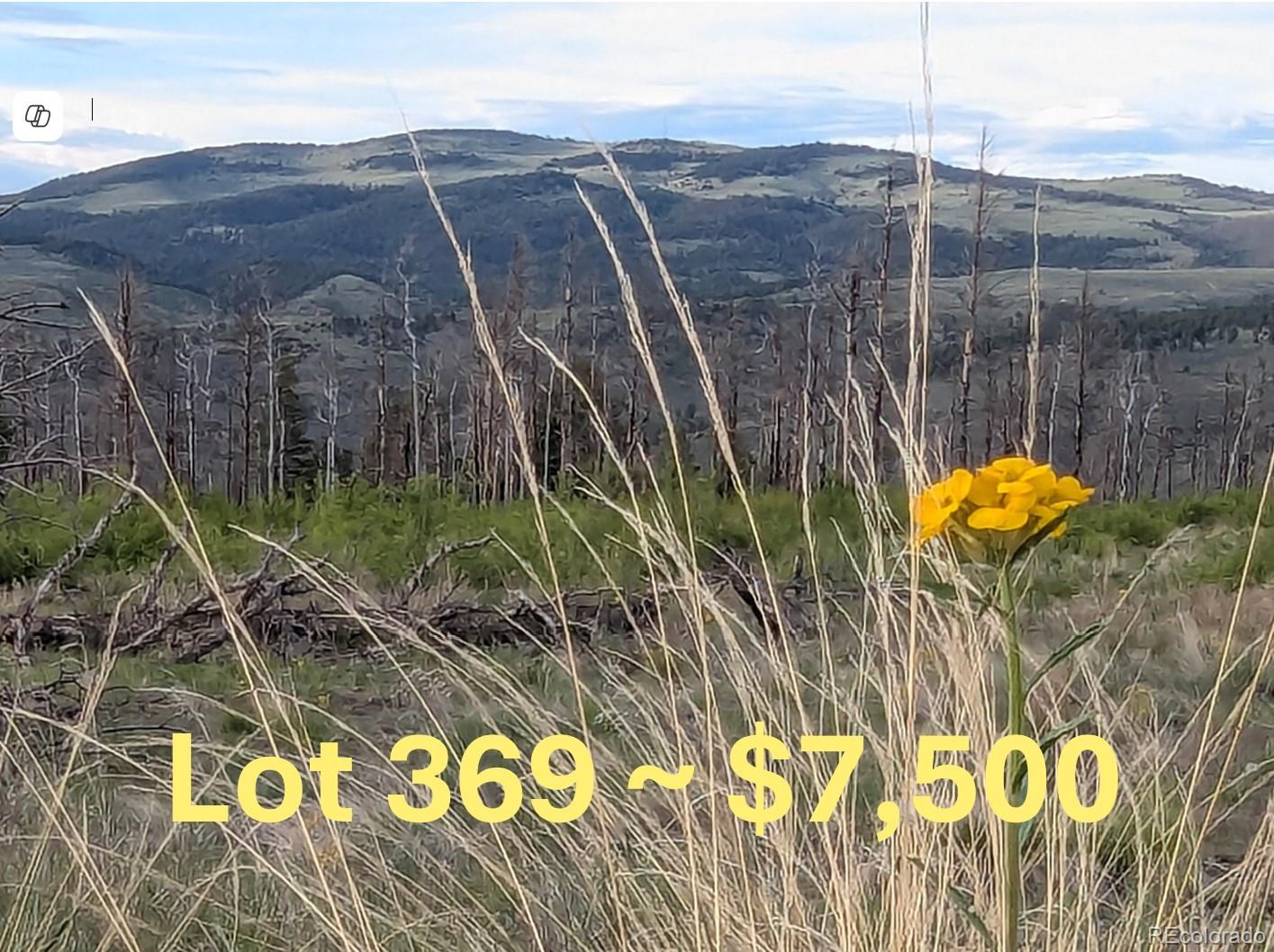369 Soubry Place Fort Garland CO 81133